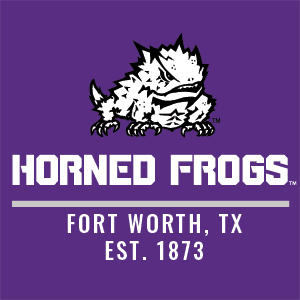 Horned Frogs Fort Worth Nintendo 2DS XL (2017) Skin